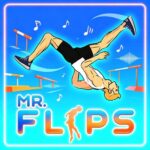 Mr Flip Stunt Landing