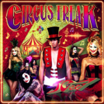 Midnight Circus Mystery Tale